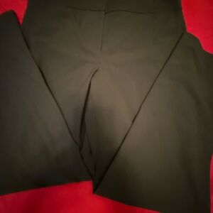 The Limited Women’s green Pants